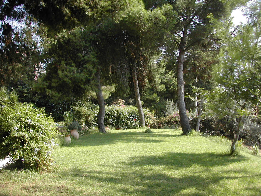 Bed and breakfast Casa Del Mandorlo *